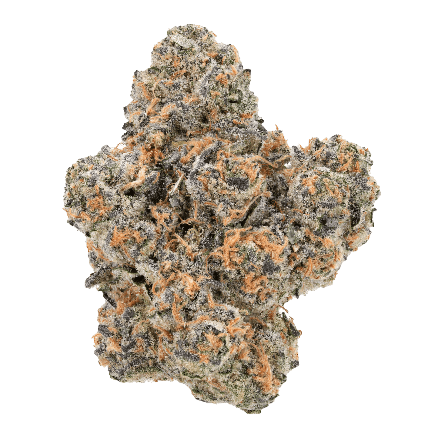 SNOW - BISCOTTI - Diamond Infused - The Snow Brand