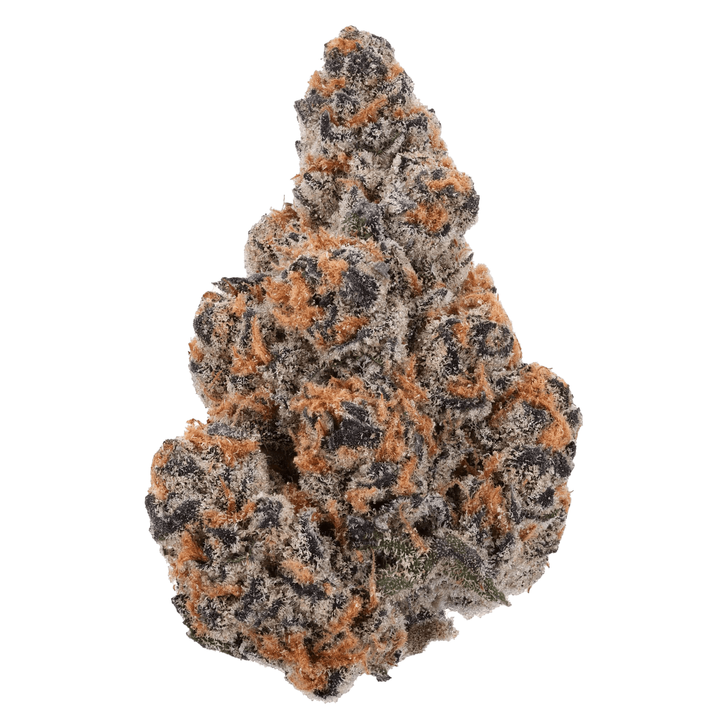 SNOW - BLACK RUNTZ - Diamond Infused - The Snow Brand