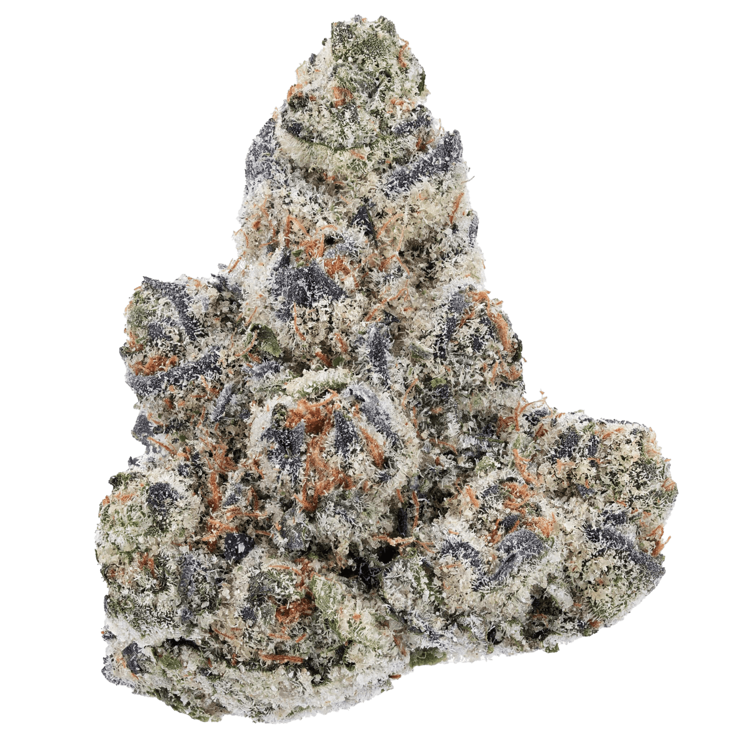 SNOW - GUN POWDER - Diamond Infused - The Snow Brand