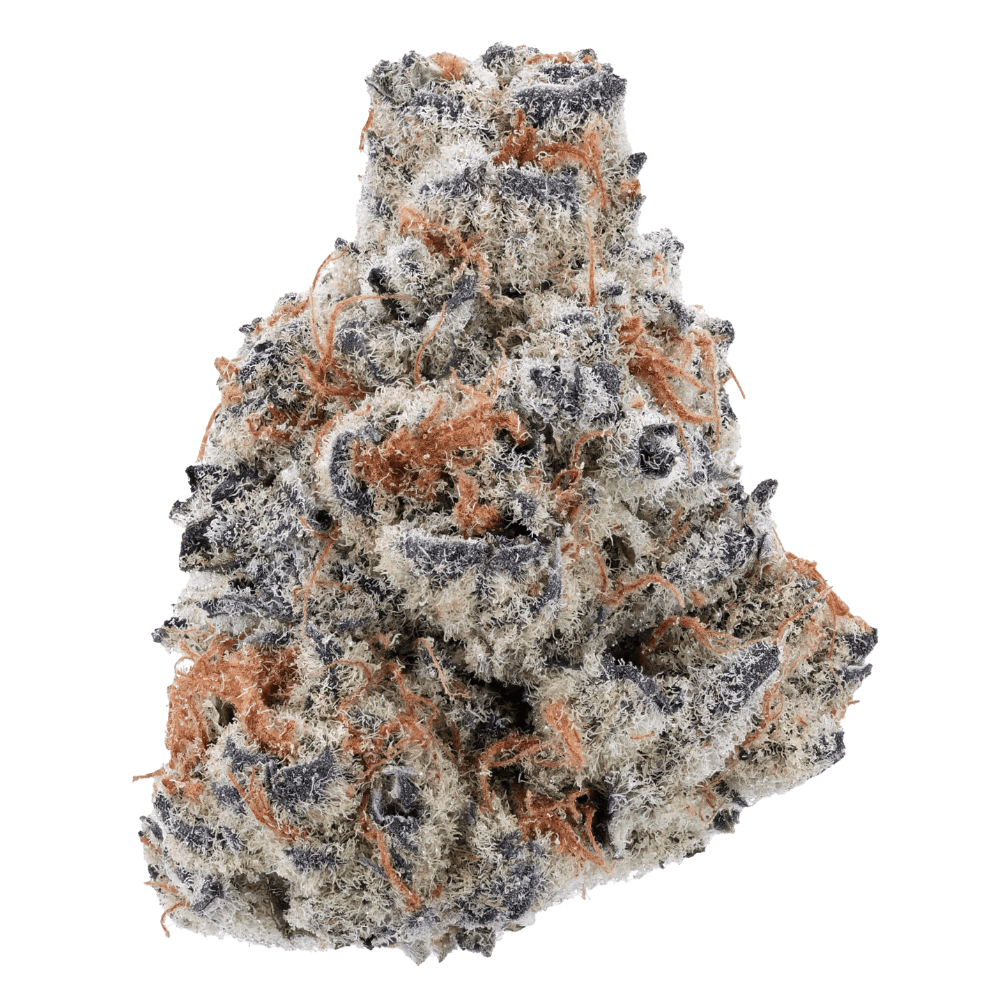 SNOW - PINK RUNTZ - Diamond Infused - The Snow Brand