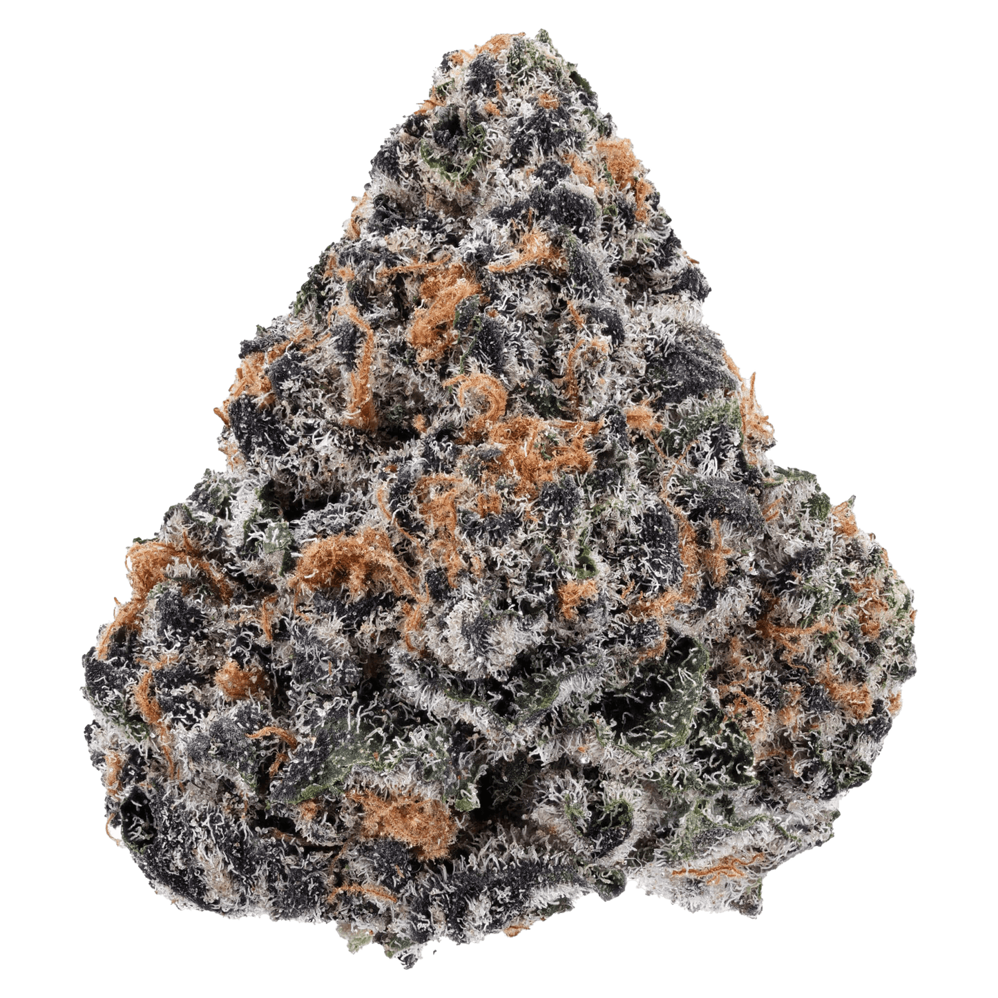 SNOW - PURPLE CONGO - Diamond Infused - The Snow Brand