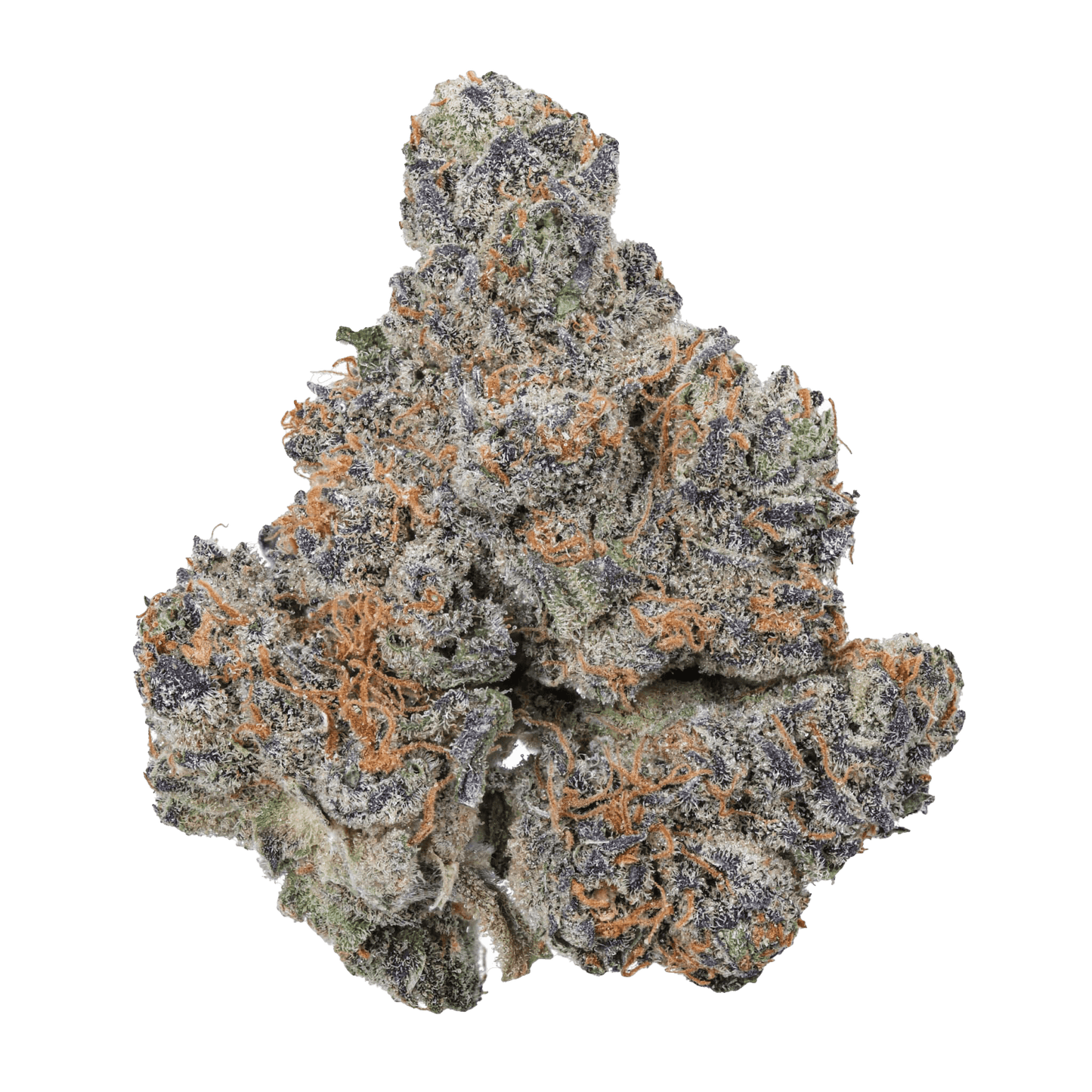 SNOW - PURPLE POP ROCKS - Diamond Infused - The Snow Brand