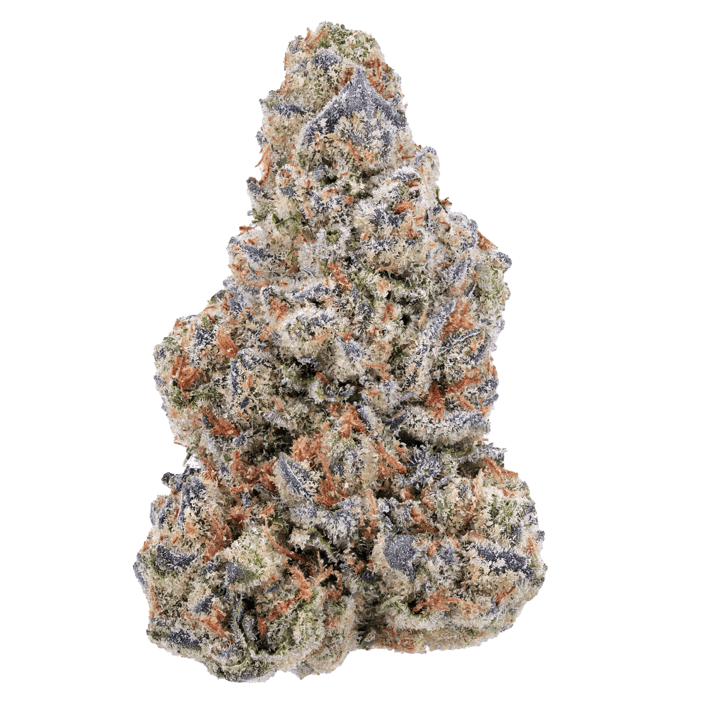 SNOW - RAINBOW GELATO - Diamond Infused - The Snow Brand